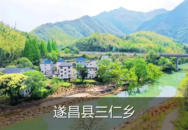 遂昌县三仁乡