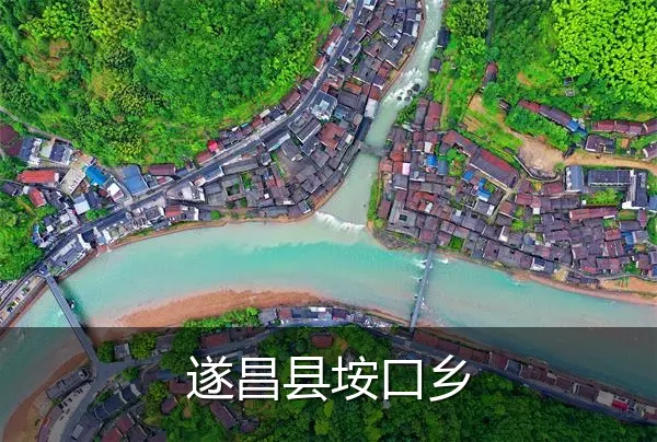 遂昌县垵口乡