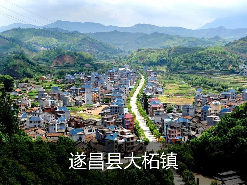 遂昌县大柘镇