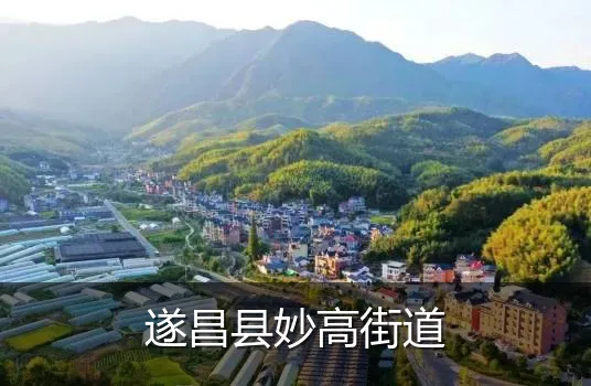 遂昌县妙高街道