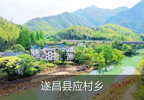 遂昌县应村乡