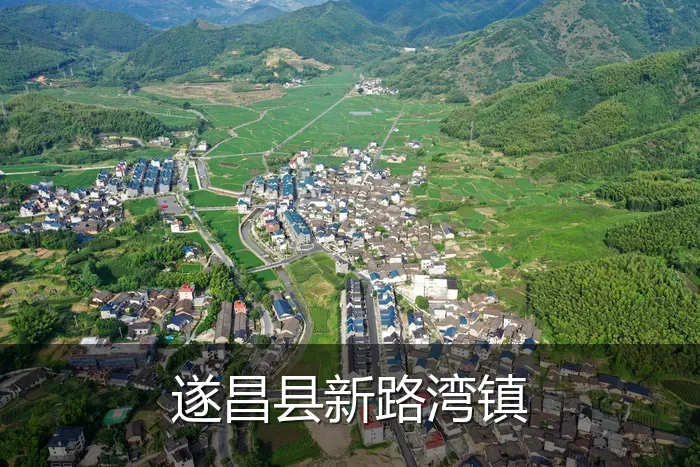 遂昌县新路湾镇