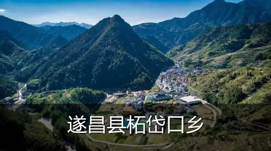 遂昌县柘岱口乡