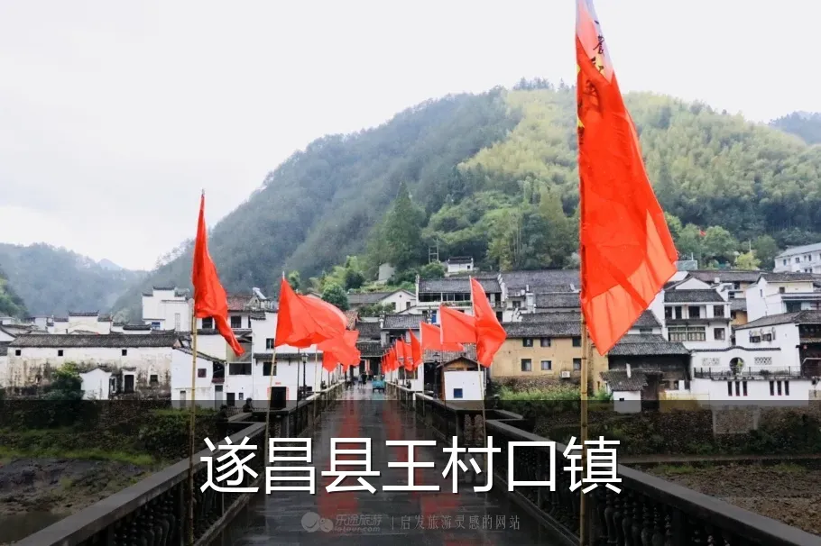 遂昌县王村口镇