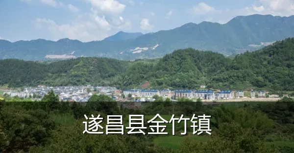 遂昌县金竹镇