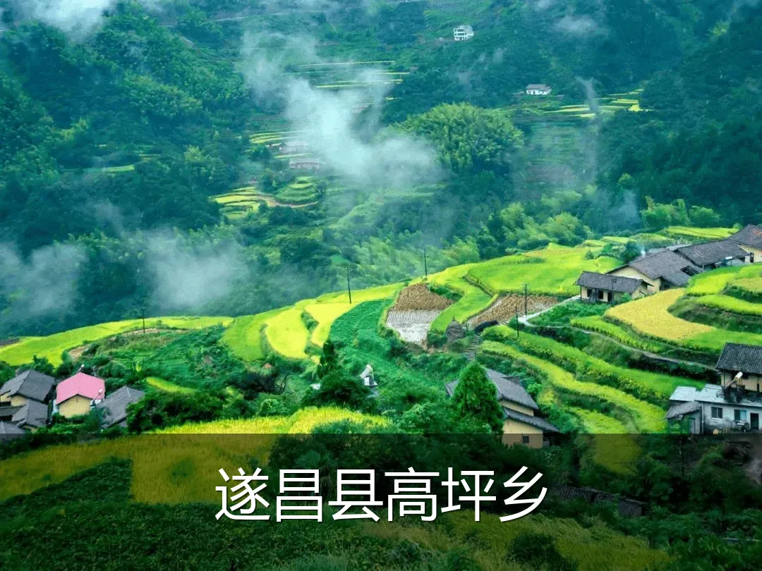 遂昌县高坪乡